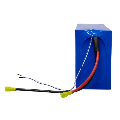 24V 20Ah LiFePO4 Battery Packs