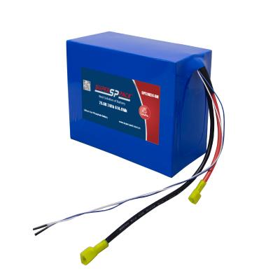 24V 20Ah LiFePO4 Battery Packs